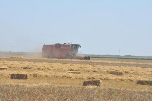 România a primit o amendă de 70.000 de euro pentru întârzierea plăţilor în agricultură
